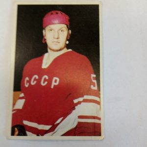 panda Purukumikuva Alexsander Ragulin