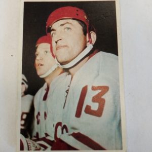 panda Purukumikuva Boris Mikhailov