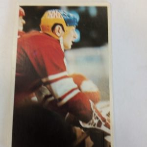 panda Purukumikuva Yuri Liapkin