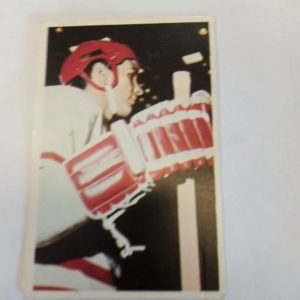 panda Purukumikuva Vitaly Davydov