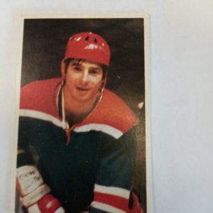 panda Purukumikuva Valery Kharlamov