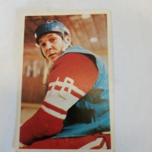 panda Purukumikuva Alexander Maltsev