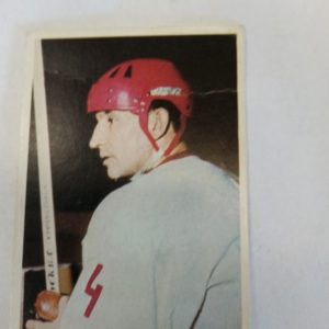 panda Purukumikuva Victor Kuzkin