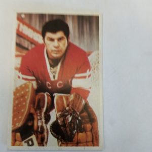 panda Purukumikuva Victor konovalenko