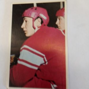 panda Purukumikuva Alexander Martyniuk