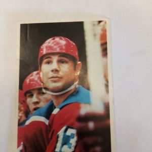 panda Purukumikuva Igor Romishevskyi