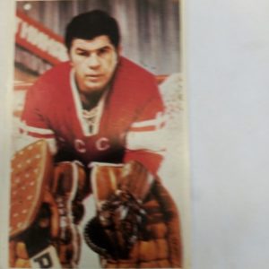 panda Purukumikuva Victor Konovalenko