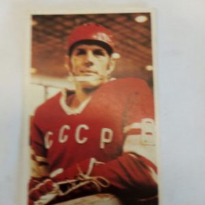 panda Purukumikuva Viacheslav Starshinov