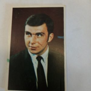 panda Purukumikuva Evgenyi Zimin