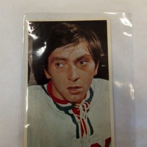 Panda purukumikortti Ivan Hlinka