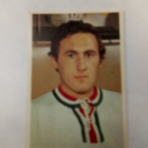 Panda purukumikortti Marcel Sakac