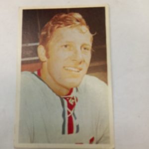 Panda purukumikortti Jiri Holik