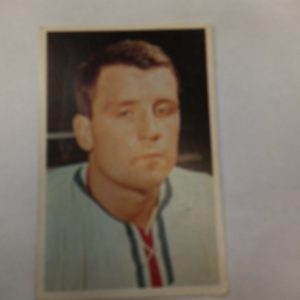 Panda purukumikortti Josef Horesovsky