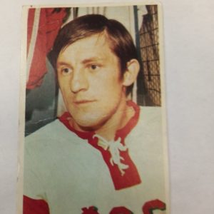 Panda purukumikortti Bohuslav Stastny