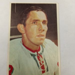 Panda purukumikortti Josef Cerny