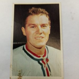 Panda purukumikortti Frantisek Pospisil