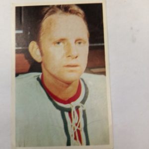 Panda purukumikortti Oldrich Machac