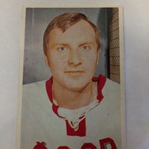 Panda purukumikortti Frantisek Panchartek