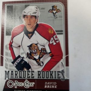 2008-09 OPC marquee rookies David Brine