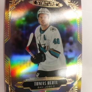 2020-21 Upper Deck Stature Tomas Hertl