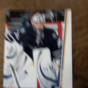 2010-11 panini Pekka Rinne