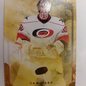 2010-11 Artifacts Cam Ward