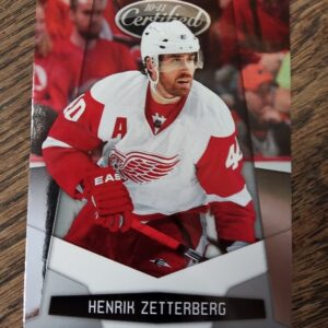 2010 panini Henrik Zetterberg