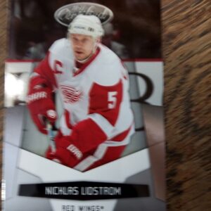 2010 panini Nicklas Lidstrom