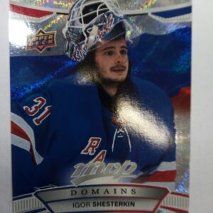 2022-2023 Upper Deck MVP Domains Igor Shesterkin