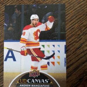 2021-22 UD extended edition canvas Andrew Mangiapane