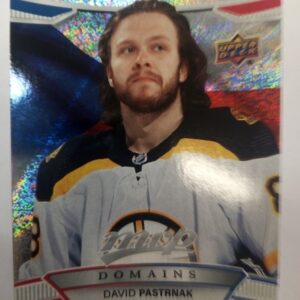 2022-2023 Upper Deck MVP Domains David Pastrnak