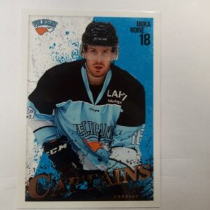 2022-23 sm-liiga captains Mika Roine