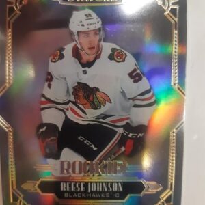 2020-21 Upper Deck Stature Rookie Reese Johnson /399