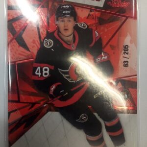 2021-2022 Upper Deck SP Game Used Authentic Rookies Jacob Bernard-Docker /205