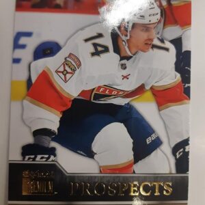 2021-22 SkyBox Premium Prospects Grigori Denisenko
