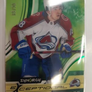 2021-22 Synergy Exceptional Futures Alex Newhook /99