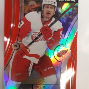 2021-22 Synergy Dylan Larkin