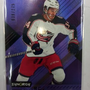 2021-2022 Upper Deck Synergy FX RC Cole Sillinger /275