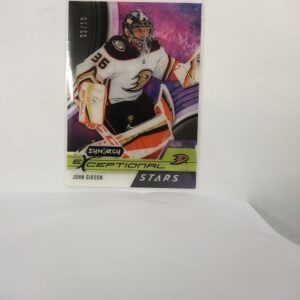 2021-22 UD Synergy Exceptional Stars John Gibson x/10