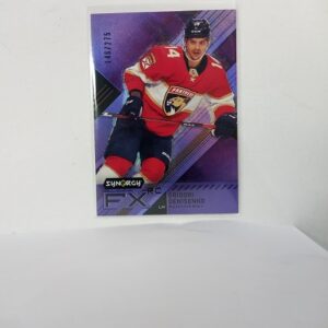 2021-22 UD Synergy FX RC Grigori Denisenko