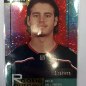 2021-2022 Upper Deck Synergy Rookie Journey Cole Sillinger /499