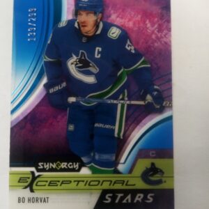 2021-22 Synergy exceptional stars Bo Horvat