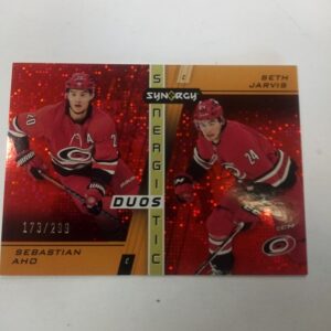 2021-22 Synergy snergi tic Sebastian Aho, Seth Jarvis