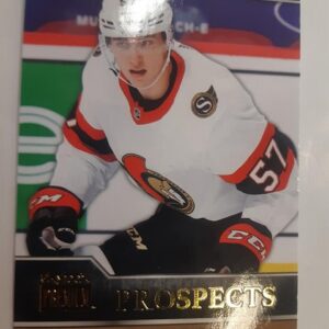 2021-22 SkyBox Premium Prospects Shane Pinto