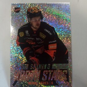 2022-23 Sm-liiga Shining north stars Heikki Liedes