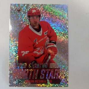 2022-23 Sm-liiga Shining north stars Shaun Heshka