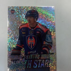 2022-23 Sm-liiga Shining north stars Veli-Matti Savinainen