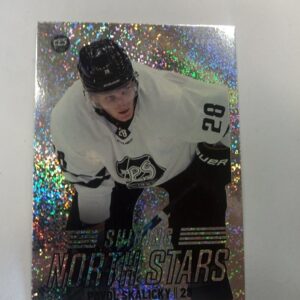 2022-23 Sm-liiga Shining north stars Pavol Skalicky