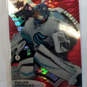 2021-22 Upper Deck Allure Rainbow Philipp Grubauer