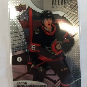 2021-22 Upper Deck Allure Rainbow Jacob Bernard-donker